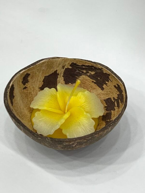 Coconut shell Candle