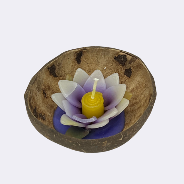 Coconut shell Candle