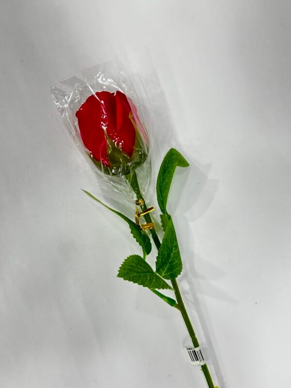 Red Rose – A Classic Expression of Love
