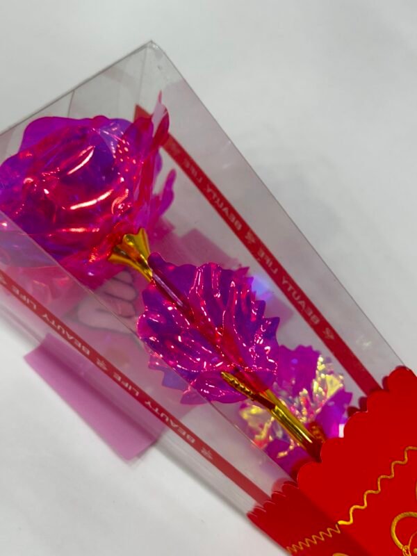 Pink Shining Rose