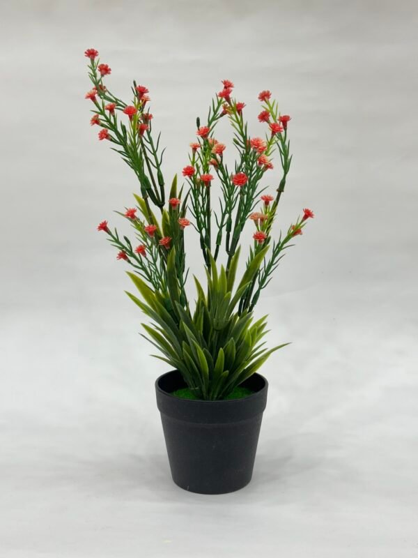 Green Planters - Orange Flowers