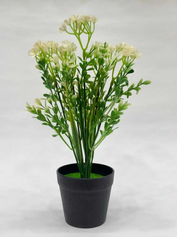 Green Planters - Yellow Flowers