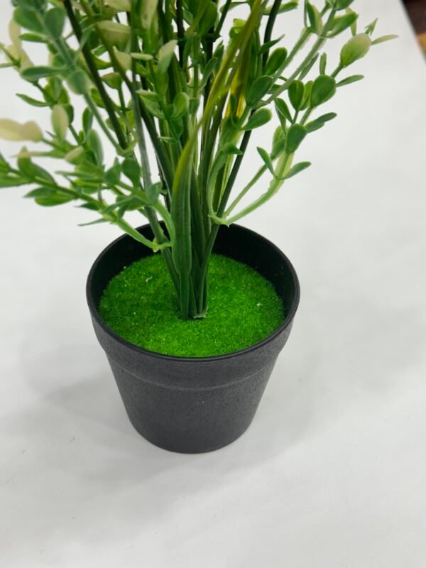 Green Planters - Yellow Flowers - Image 3
