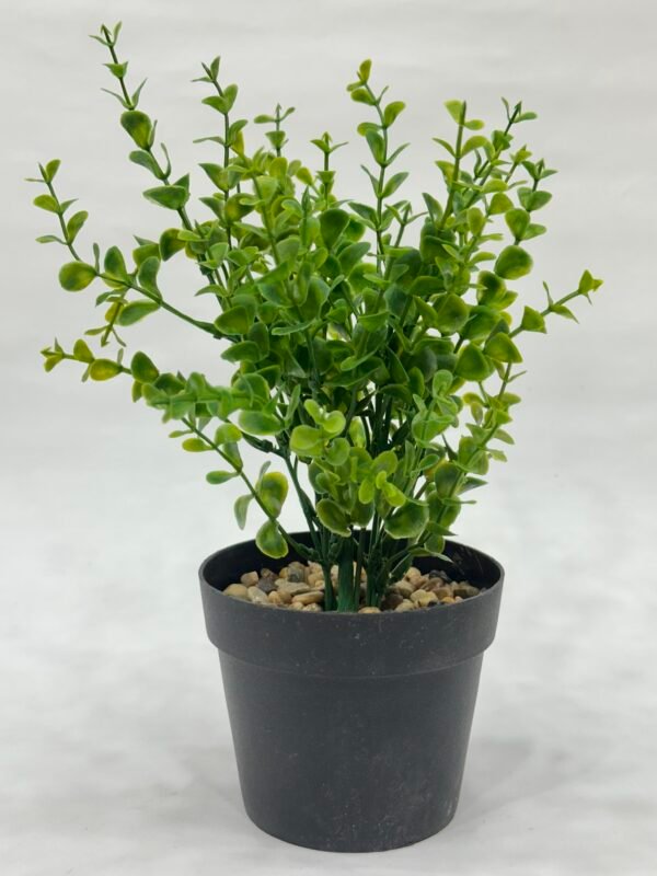 Green Planters - Full Green