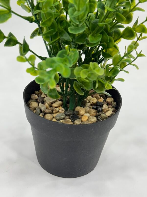 Green Planters - Full Green - Image 3