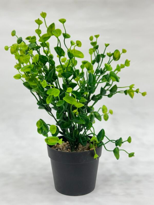 Green Planters - Full Green Pattern