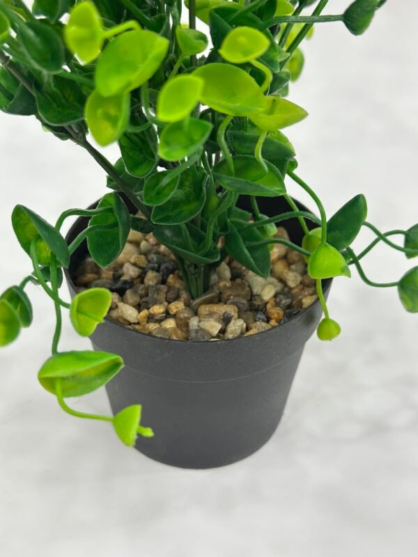Green Planters - Full Green Pattern - Image 3
