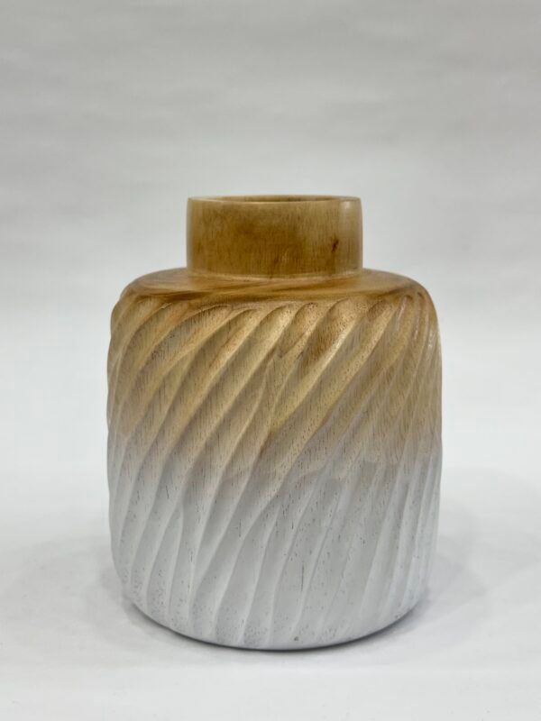 Premium Vase - Unique Shape